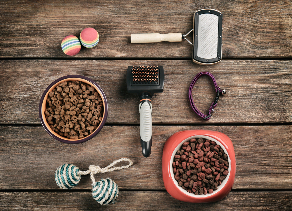 The 6 Most Essential Pet Accessories
