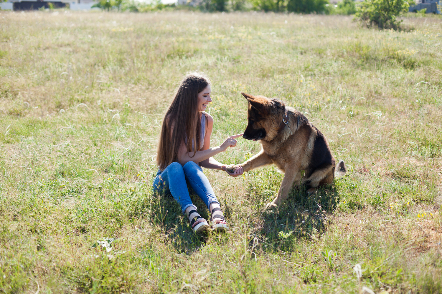 10 Different Ways Dogs Communicate